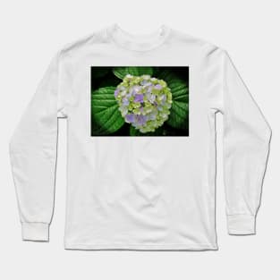 Lovely Hydrangea Long Sleeve T-Shirt